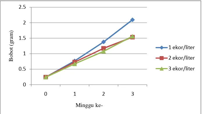 Gambar 4. Laju pertumbuhan spesifik (spesific growth rate) benih ikan maanvis Pterophyllum scalare yang dipelihara dengan kepadatan 1, 2, dan 3 ekor/liter