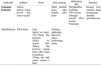 Tabel 5.  Antibiotik Golongan Kuinolon 