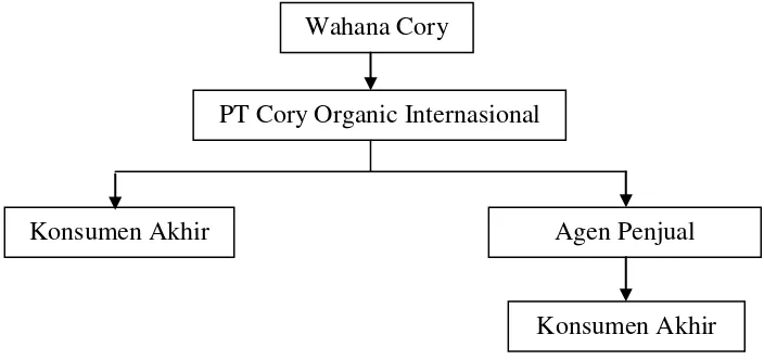 Gambar 3.  Skema Saluran Pemasaran Srikaya Organik Wahana Cory  Sumber : Wahana Cory (2009) 