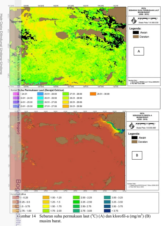 Gambar 14  Sebaran suhu permukaan laut ( o C) (A) dan klorofil-a (mg/m 3 ) (B)  