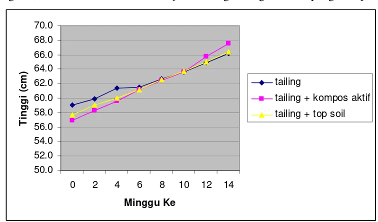 Gambar 3 Pertumbuhan tinggi E. Cyclocarpum umur 14 mst.