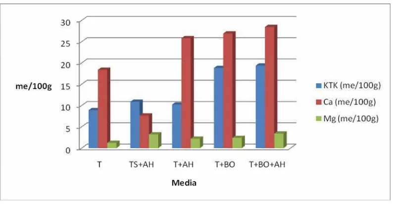 Gambar 6Perubahan KTK dan unsur makro pada media TS+AH (Top soil +Asam Humat) T+AH (Tailing + Asam humat) T+BO (Tailing + komposaktif ) T+BO+AH (Tailing + kompos aktif + Asam humat).
