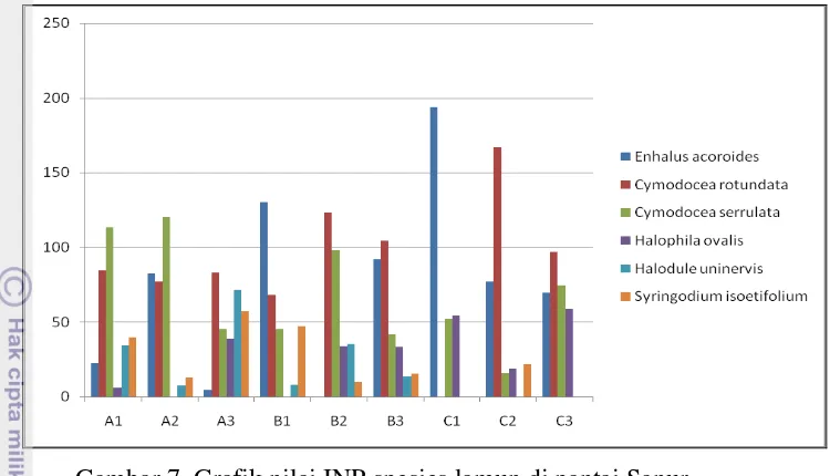 Gambar 7. Grafik nilai INP spesies lamun di pantai Sanur 