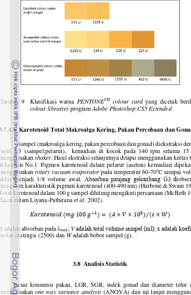 Gambar 9  Klasifikasi warna PENTONETM colour card yang dicetak berdasar 