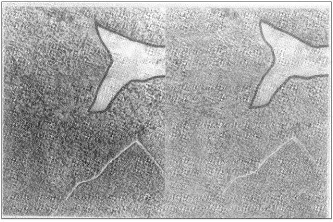 Gambar 3.  Stereogram kondisi hutan jati tahun 1992, wilayah KPH Randublatung,   Perhutani Unit I, Jawa Tengah, menggunakan potret udara metrik panchromatic konvensional skala 1:20.000