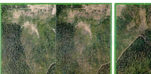 Gambar 2. (a) Stereogram hutan jati kerapatan tinggi, kerapatan sedang, lahan kosong bekas tebangan dan persawahan di wilayah KPH Randublatung, Perhutani Unit I, Jawa Tengah menggunakan potret udara format kecil (PUFK) skala 1:8.000 rekaman bulan Maret tah