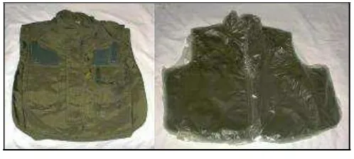 Figure 1.2: The flak jacket  