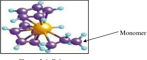 Figure 2.1: Polymer  