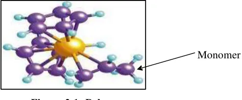 Figure 2.1: Polymer  