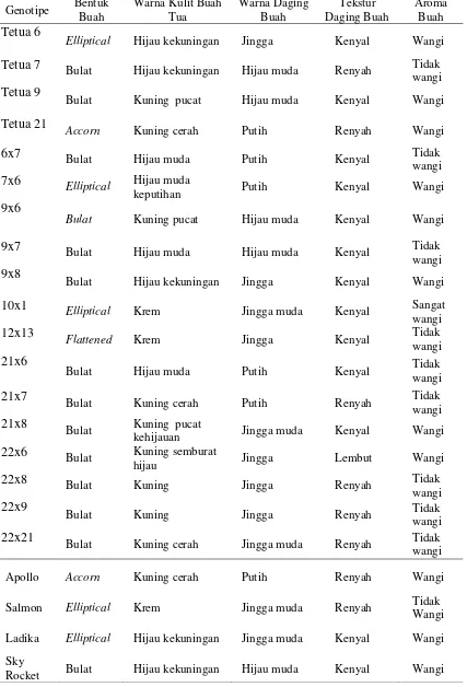 Tabel 3. Karakteristik Kualitatif Buah 18 Hibrida Melon yang Dievaluasi di    Bogor 