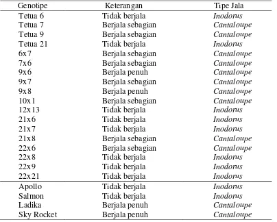 Tabel 4. Penampilan Jala 18 Hibrida Melon yang Dievaluasi di Bogor 