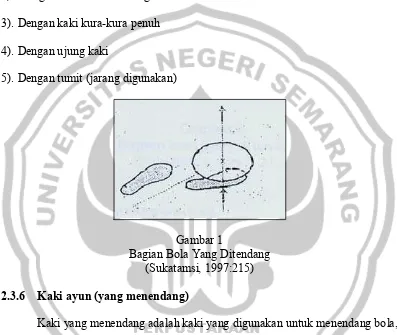 Gambar 1 Bagian Bola Yang Ditendang 