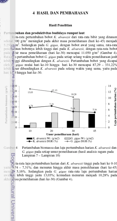 Gambar 4 Pertambahan biomassa dan laju pertumbuhan harian K. alvarezii dan   G. gigas pada setiap umur pemeliharaan (hasil analisis ragam pada  