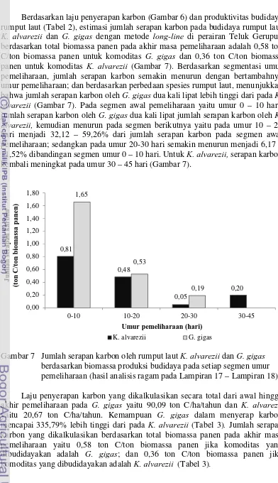 Gambar 7 Jumlah serapan karbon oleh rumput laut K. alvarezii dan G. gigas  