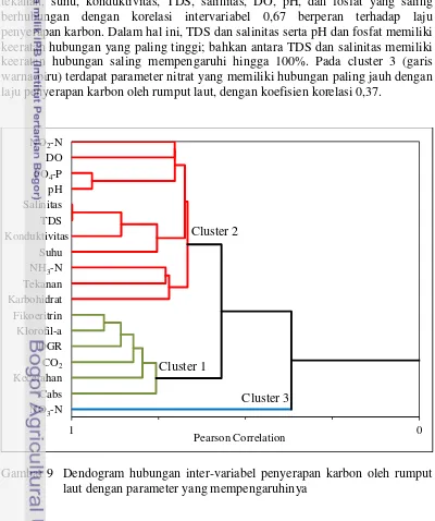 Gambar 9 Dendogram hubungan inter-variabel penyerapan karbon oleh rumput 