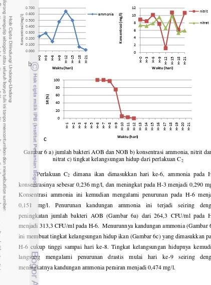 Gambar 6 a) jumlah bakteri AOB dan NOB b) konsentrasi ammonia, nitrit dan 