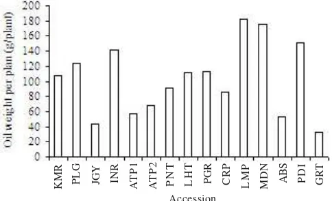 Figure 5. Fruit number per inflorescence of some Jatropha accessions.
