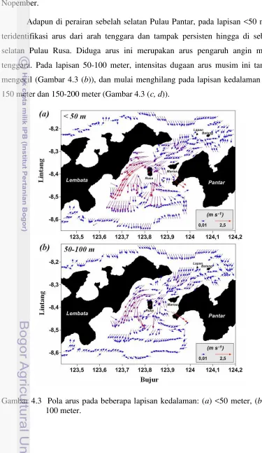 Gambar 4.3  Pola arus pada beberapa lapisan kedalaman: (a) <50 meter, (b) 50-
