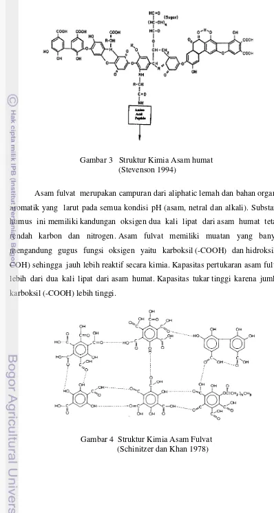 Gambar 3   Struktur Kimia Asam humat 