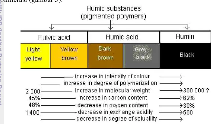 Gambar 5   Komponen Kimia Substansi Humus (Stevenson 1982) 