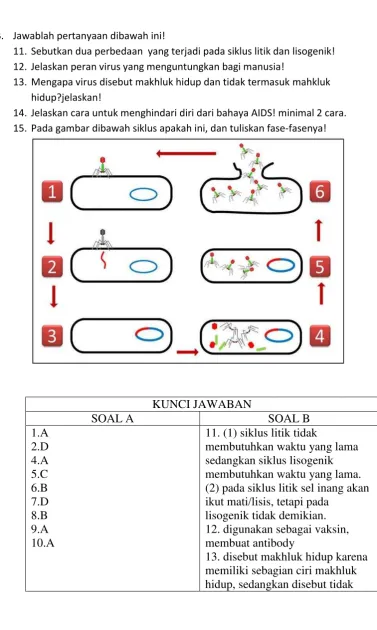 gambar disamping  ini, pada nomor 