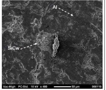 Fig. 8:  SEM Microstructure surface 40% of 31wt%SiCw+9%wtAl2O3p reinforcement in aluminum matrix composite of 60 wt%, (rich in SiCw+Al2O3p) 
