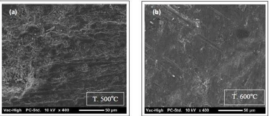 Fig. 14: SEM photo of the aluminum matrix with 11% SiCw +9% Al2O3p reinforcement after (a) 1 hour sintering with 500oC and (b) 6 hours sintering with 500oC