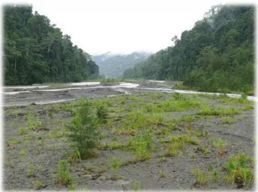 Gambar Sungai Wariori 