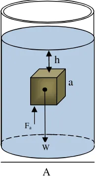 Gambar 2.5 Sebuah kubus dengan sisi a dimasukkan dalam fluida