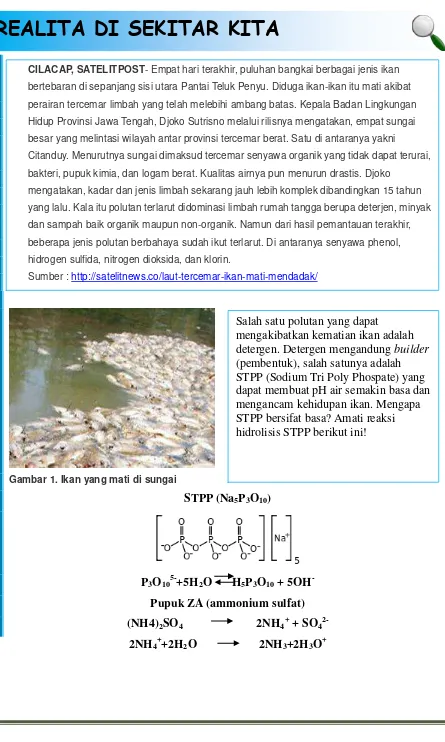 Gambar 1. Ikan yang mati di sungai 