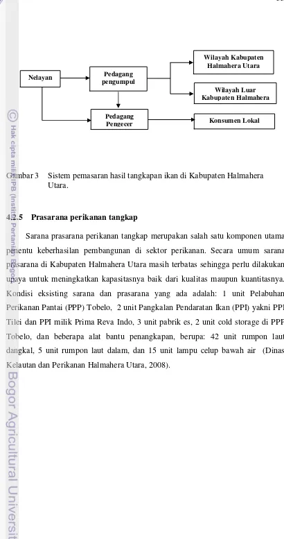 Gambar 3   Sistem pemasaran hasil tangkapan ikan di Kabupaten Halmahera 