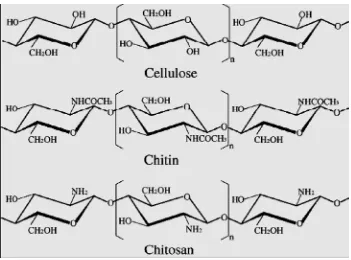 Gambar 1. Struktur kimia selulosa, kitin dan kitosan (Kim 2004) 