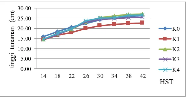 Gambar 1.  Grafik Pertumbuhan Tinggi Tanaman Kedelai Terhadap Pemberian Pupuk KCl dan Abu Sekam Padi 