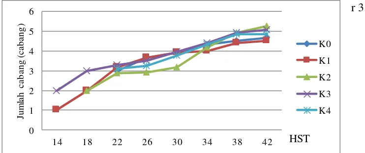 Gambar 3. Grafik Pertumbuhan Jumlah  Cabang Tanaman Kedelai Terhadap Pemberian Pupuk KCl dan Abu Sekam Padi 