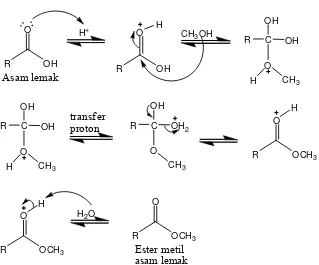 Gambar 13  Mekanisme reaksi esterifikasi asam lemak.  