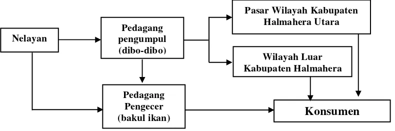 Gambar 3   Sistem pemasaran hasil tangkapan ikan di Kabupaten Halmahera 