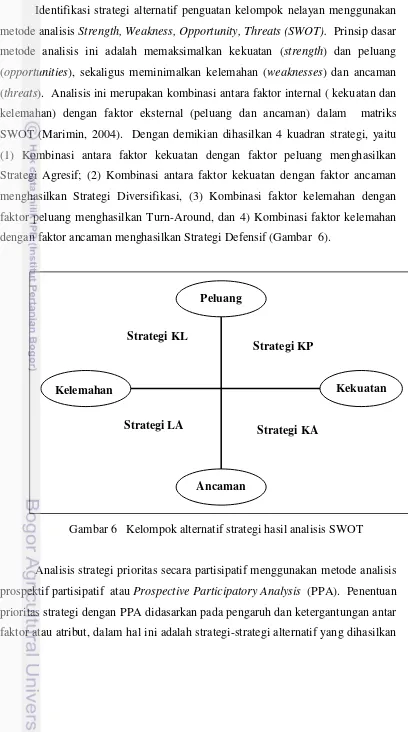 Gambar 6   Kelompok alternatif strategi hasil analisis SWOT 