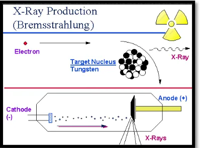 Gambar 2.2 Produksi sinar-X Bremsstrahlung (Krane, 1992:111) 