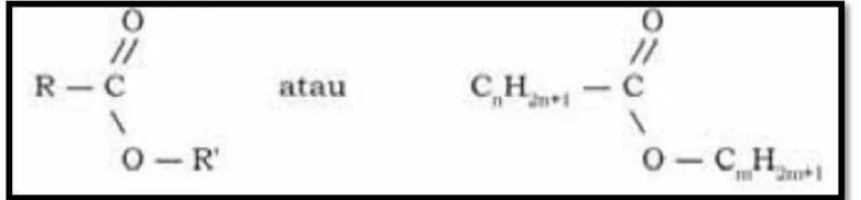 GAMBAR 2.3 RUMUS UMUM STRUKTUR ESTER