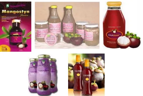 Gambar 2.  Produk-produk Olahan Manggis dalam Kemasan            Sumber : http://myhealt.net 