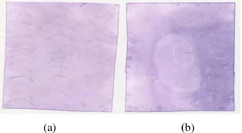 Gambar 6. Hasil deteksi PMWaV melalui tissue blotting immunoassay (TBIA) pada jaringan tunas nanas uji