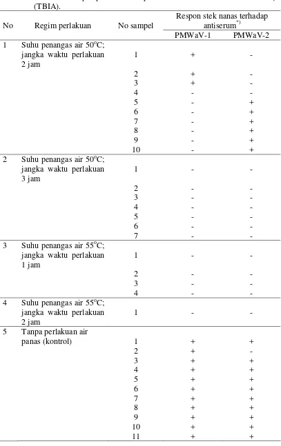 Tabel 3. Verifikasi infeksi PMWaV pada tunas nanas yang tumbuh dari stek daun 