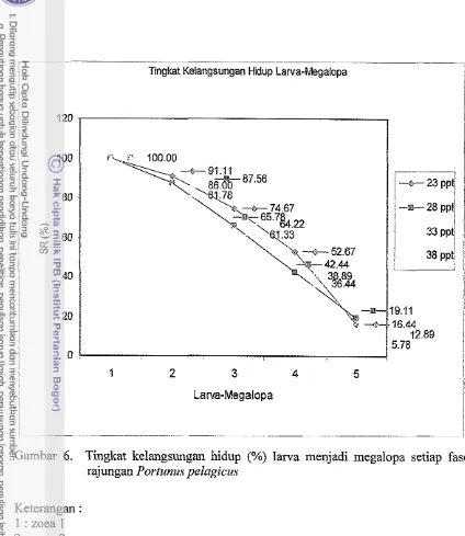 Gambar 6. Tingkat kelangsungan hidup (%) larva menjadi megalopa setiap fase 