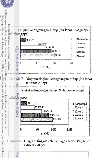 Gambar 7. Diagram tingkat kelangsungan hidup (%) larva - megalopa 