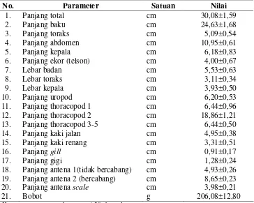 Tabel 4. Ukuran panjang dan bobot udang ronggeng (Harpiosquilla raphidea) 