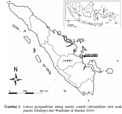 Gambar 1. Lokasi pengambilan udang mantis contoh (ditunjukkan oleh anak panah) (Diadopsi dari Wardiatno & Mashar 2010) 