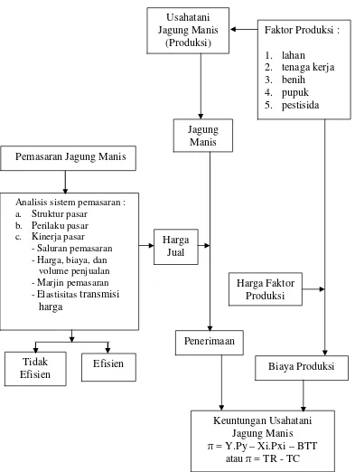 Gambar 1.  Kerangka pemikiran analisis usahatani dan sistem pemasaran jagungmanis di Kecamatan Natar Kabupaten Lampung Selatan, 2015.