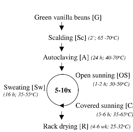 FIG. 1. Scheme of the postharvesting processing of vanilla beans