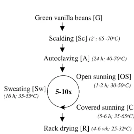 FIG. 1. Scheme of the postharvesting processing of vanilla beans