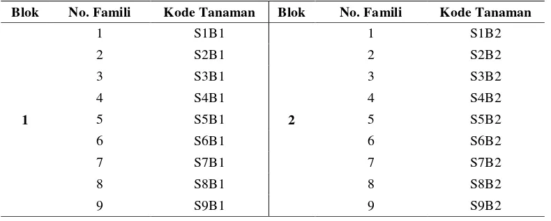 Tabel 2 Kode tanaman Sengon Solomon 